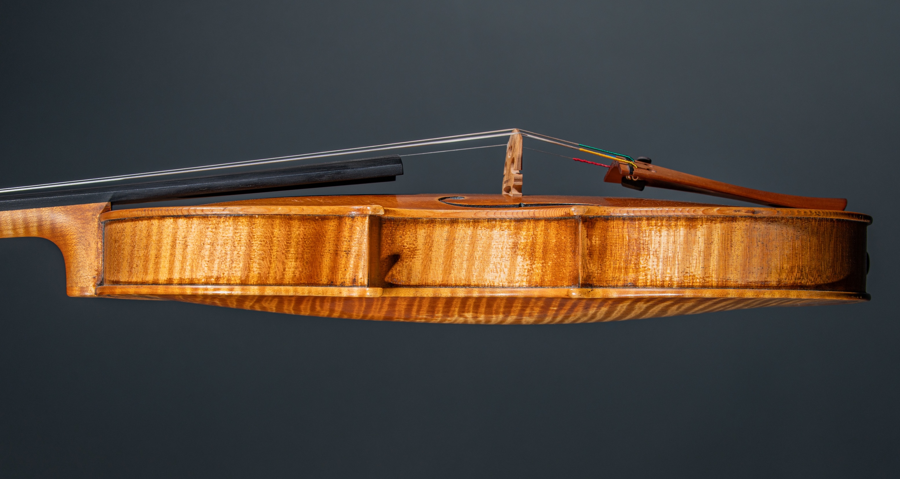 Violin Side Profile